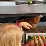 Weidelandfarm Am Riebener Daire *