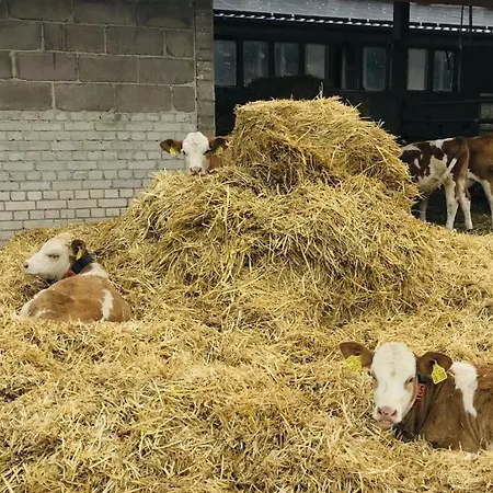 Weidelandfarm Am Riebener