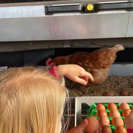 Weidelandfarm Am Riebener Lejlighed *