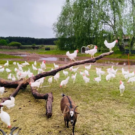 Weidelandfarm Am Riebener * بيليتس