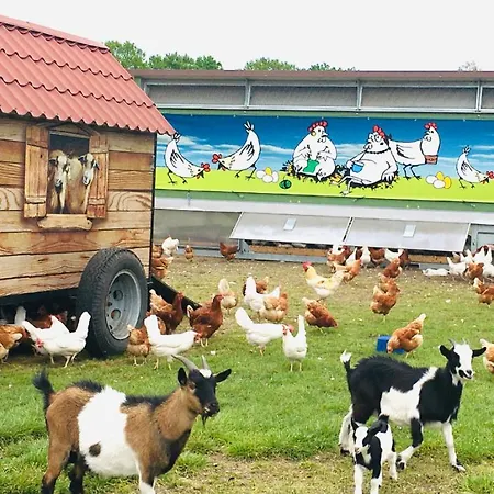 아파트 Weidelandfarm Am Riebener 비리츠