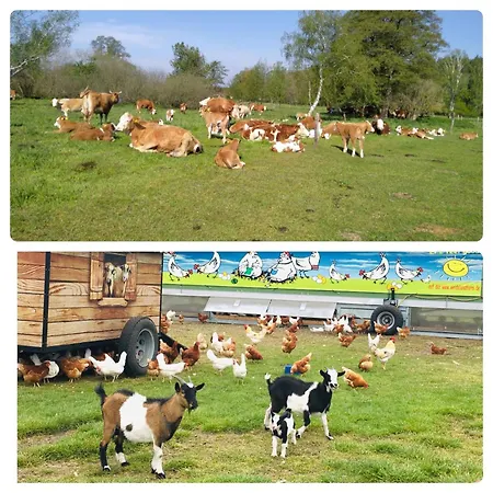 Weidelandfarm Am Riebener شقة