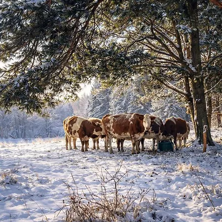Apartament Weidelandfarm Am Riebener Beelitz