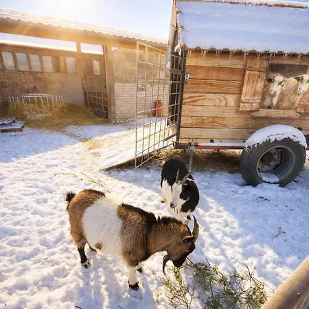 Weidelandfarm Am Riebener Apartament