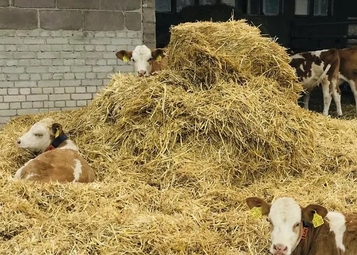 Weidelandfarm Am Riebener