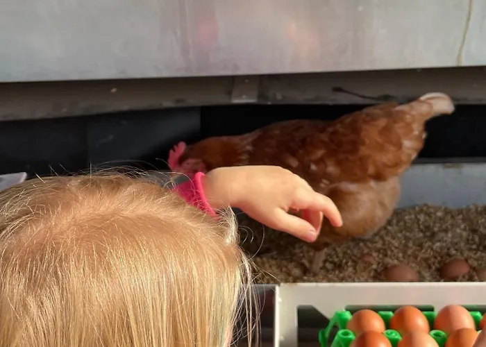 Weidelandfarm Am Riebener アパート *