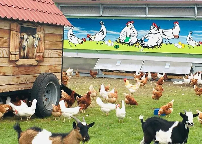 アパート Weidelandfarm Am Riebener ベーリッツ