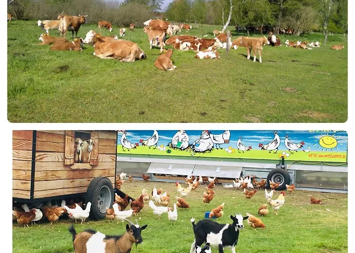 Weidelandfarm Am Riebener アパート