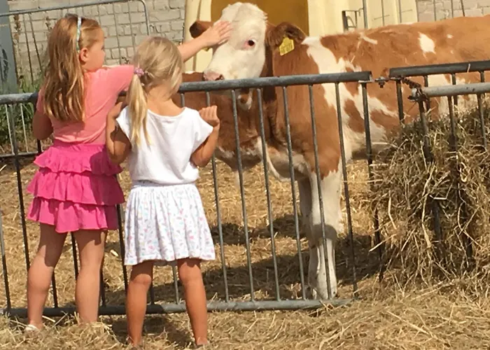 Weidelandfarm Am Riebener * ベーリッツ