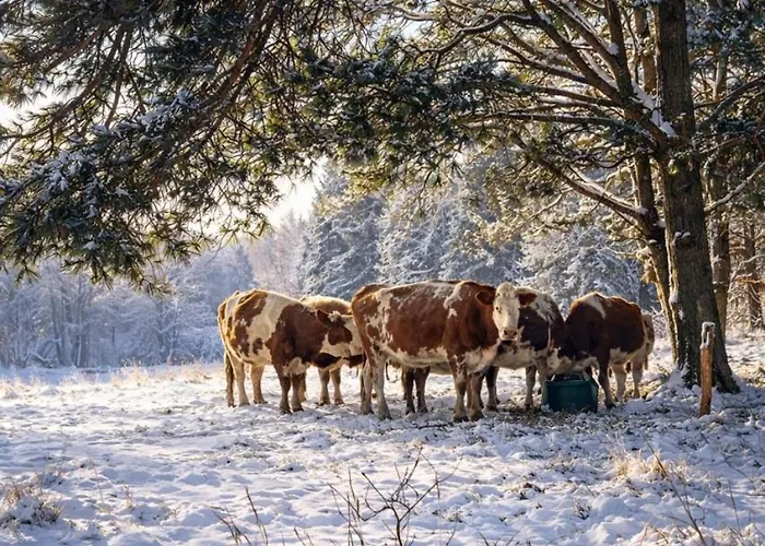 アパート Weidelandfarm Am Riebener ベーリッツ