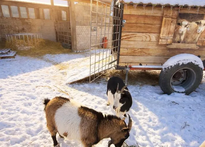 Weidelandfarm Am Riebener アパート